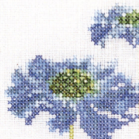 Close-up of a blue flower with a white background