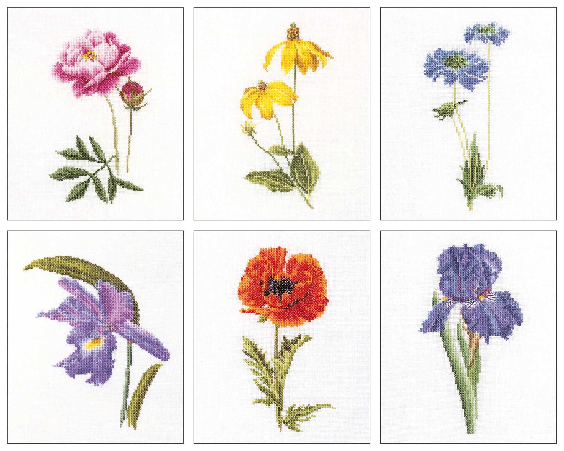 Set of six cross-stitch patterns of different flowers on a white background