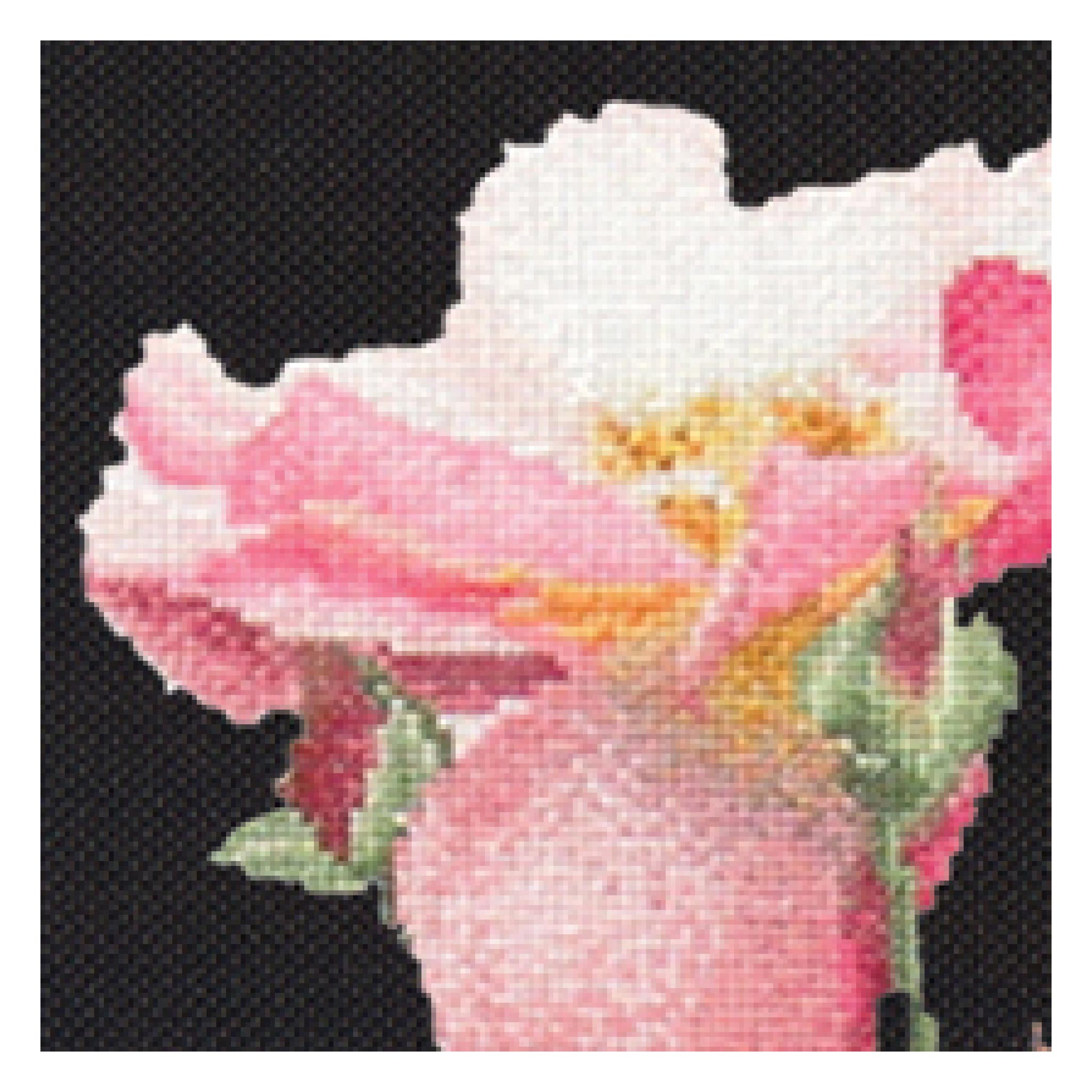 Thea Gouverneur Cross Stitch Kits Flowers Close-Ups Collection