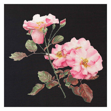 Rosa Leersum - Aida Black - 18 - 412.05