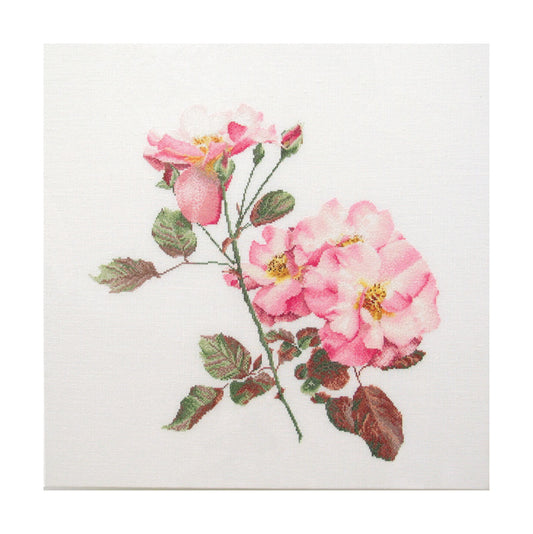 Rosa Leersum - Aida - 18 - 412A