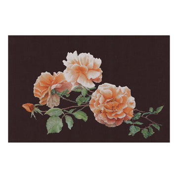 Just Joey - Aida Black - 18 - 414.05