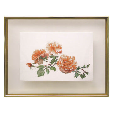 Just Joey - Aida - 18 - 414A