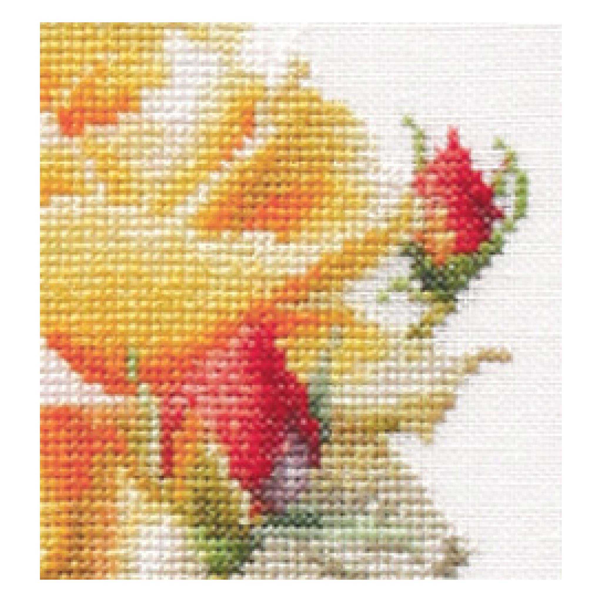 Thea Gouverneur Cross Stitch Kits Flowers Close-Ups Collection