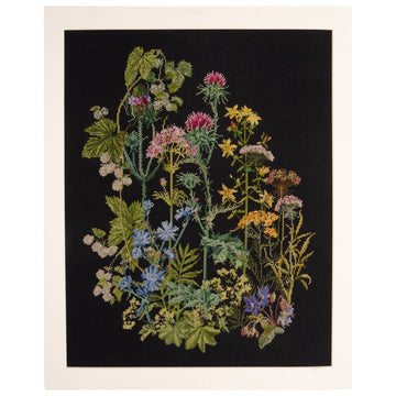 Herb Panel - Aida Black - 18 count - 424.05