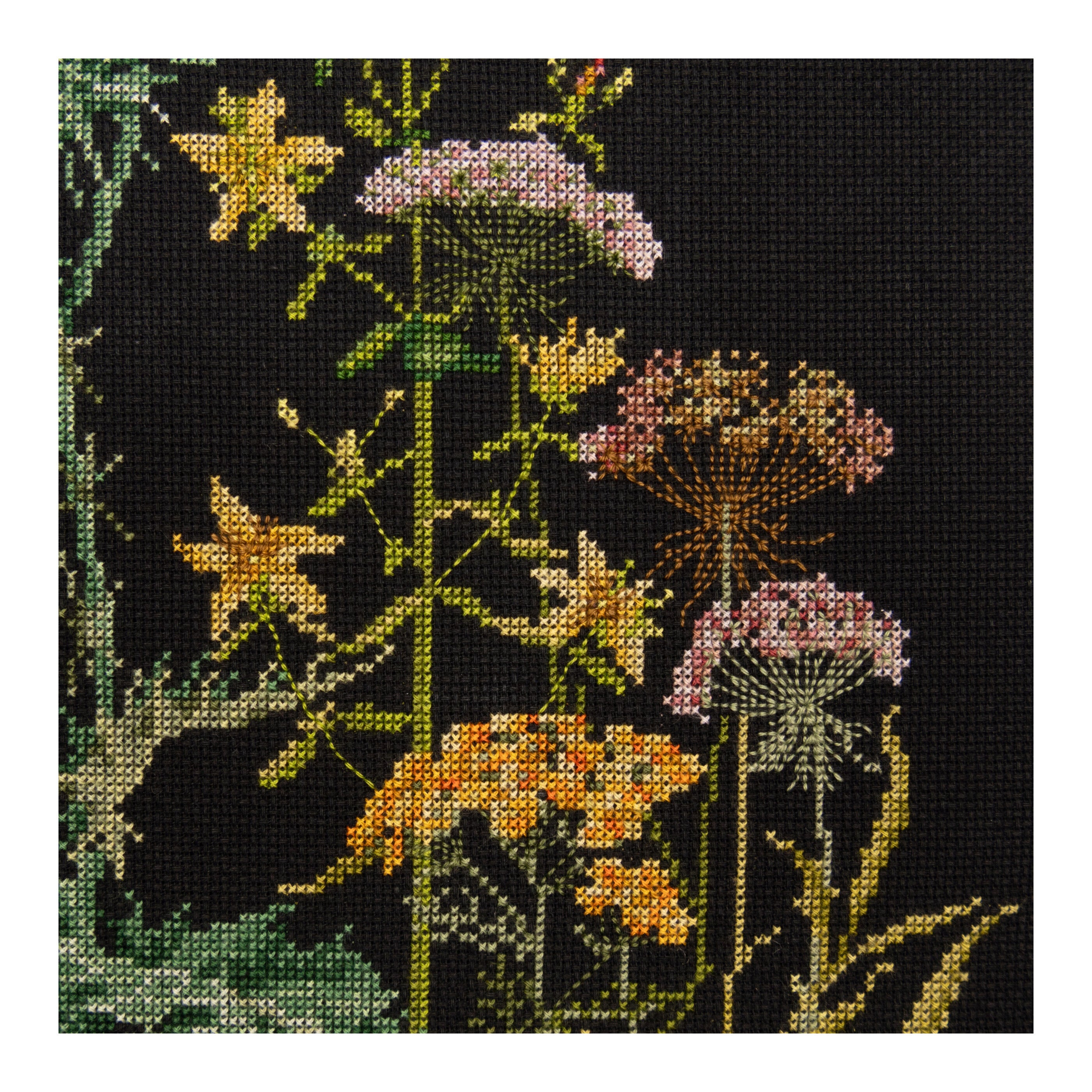Counted Cross Stitch Kit Herb Panel - Aida Black 18 Count