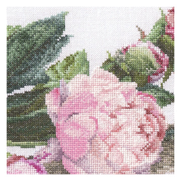 Peonies - Linen - 36 count - 433
