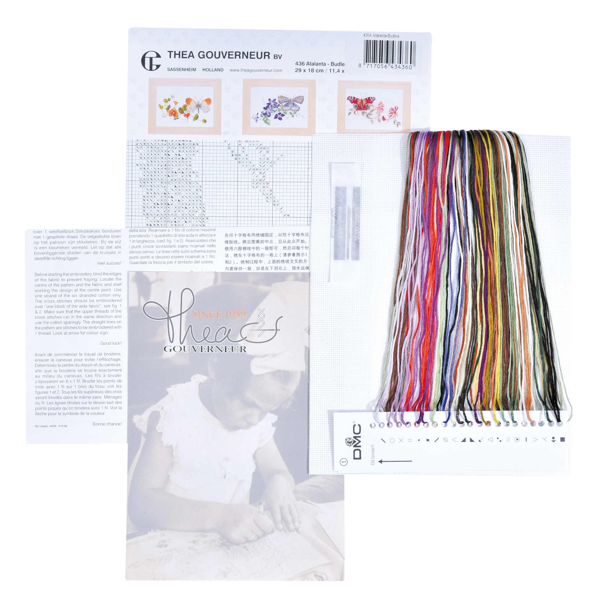 Embroidery kit content: Aida needlework fabrics, printed chart, colorful dmc embroidery threads presorted on the floss organizer