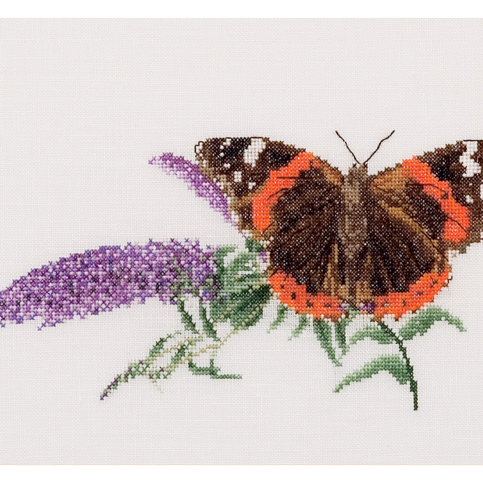 Butterfly-Budlea - Aida - 18 stuks - 436A