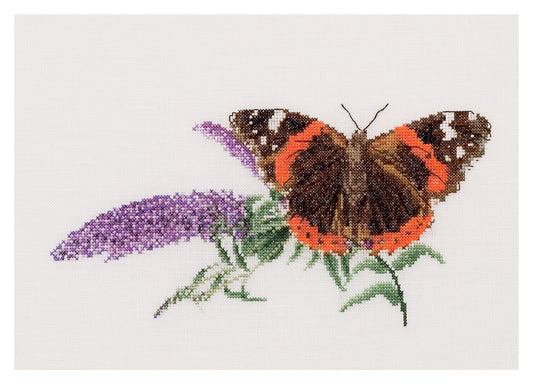 Butterfly-Budlea - Aida - 18 - 436A