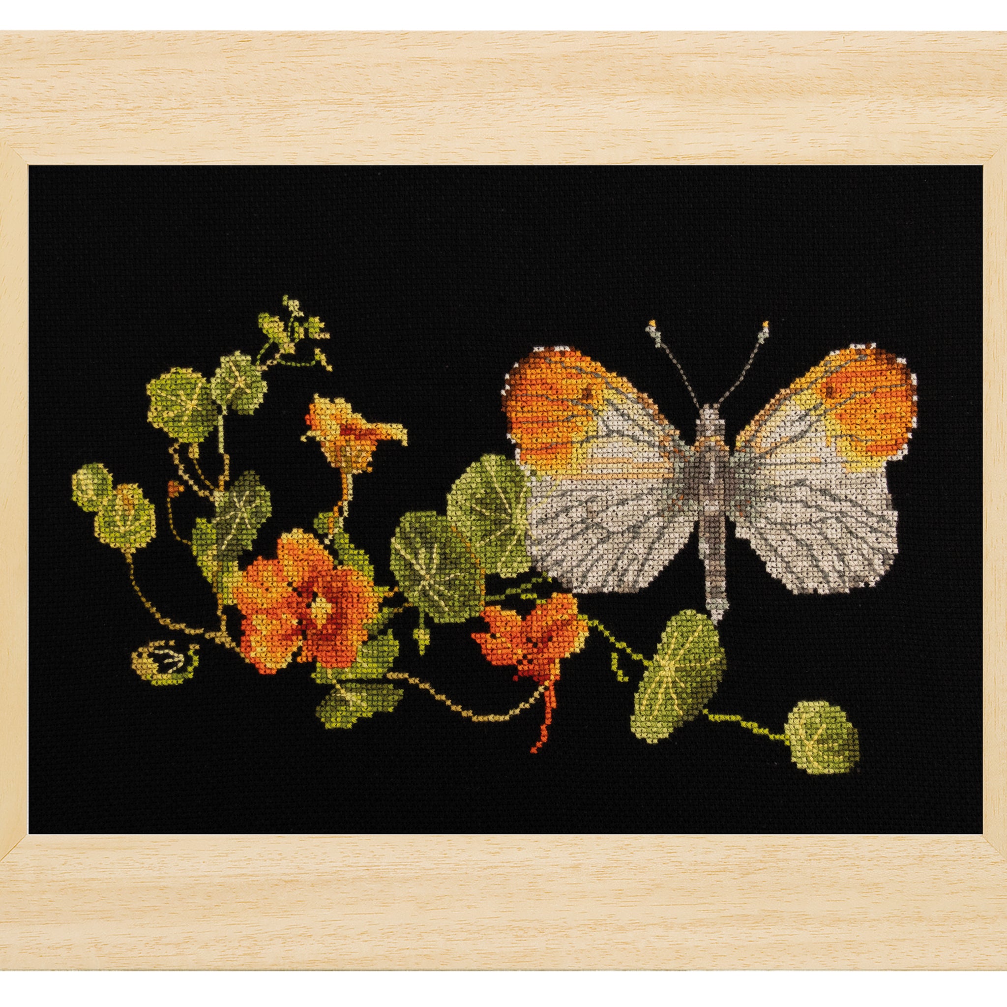 Butterfly-Nasturtium - Aida Black - 18 - 437.05