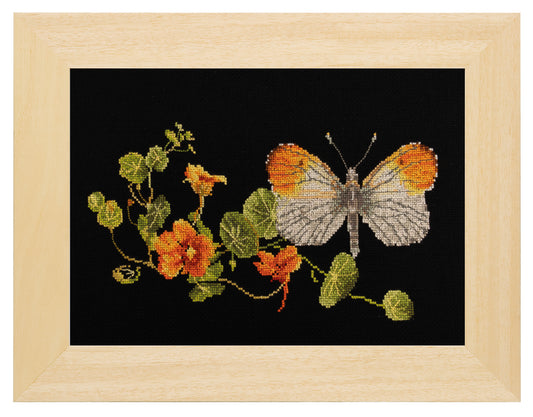 Butterfly-Nasturtium - Aida Black - 18 - 437.05