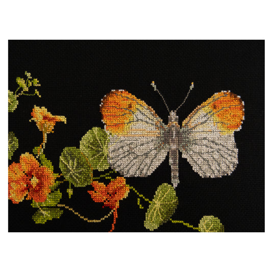 Butterfly-Nasturtium - Aida Black - 18 - 437.05