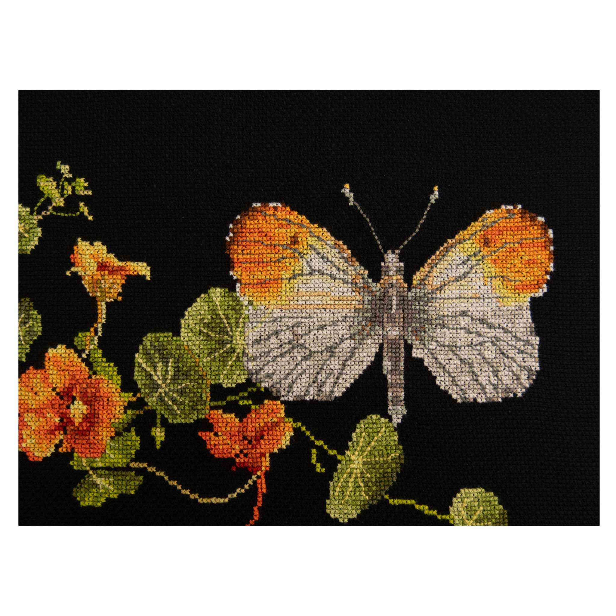 Thea Gouverneur Cross Stitch Kits | Animal Nature Collection
