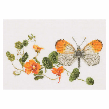 Cross-stitched design of a butterfly and flowers on white fabric