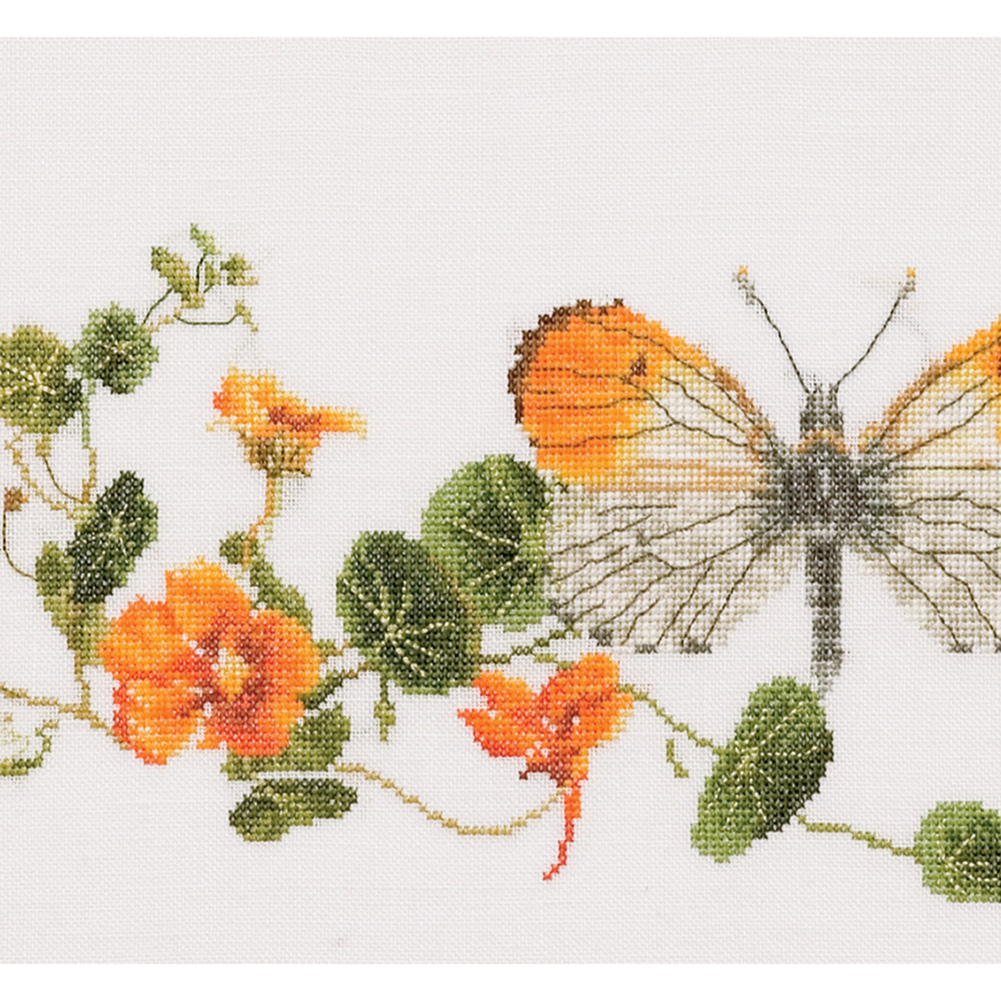Butterfly-Nasturtium - Aida - 18 - 437A