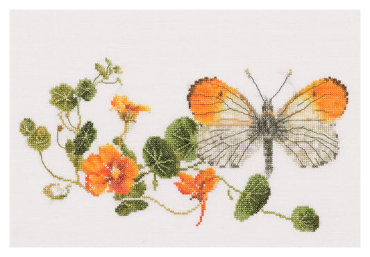 Butterfly-Nasturtium - Aida - 18 - 437A