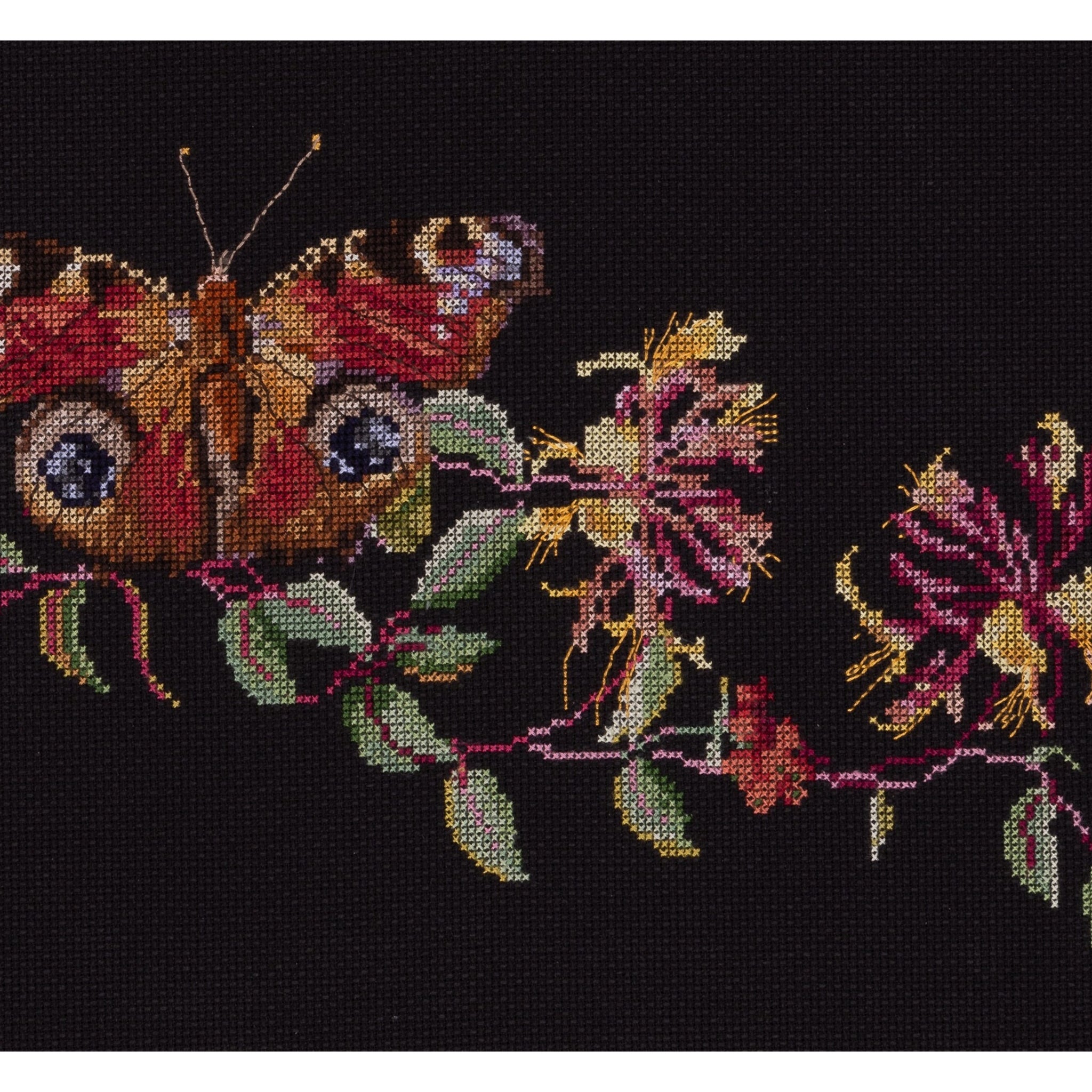 Butterfly-Honeysuckle - Aida Black - 18 - 439.05