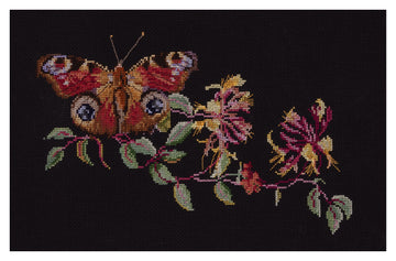 Butterfly-Honeysuckle - Aida Black - 18 - 439.05