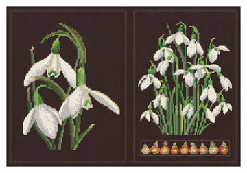 Snowdrops Panel - Aida Black - 18 - 446.05