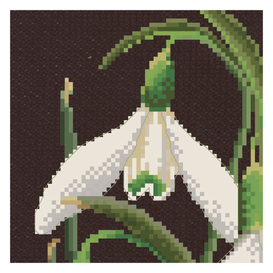 Snowdrops Panel - Aida Black - 18 - 446.05-Thea Gouverneur Since 1959