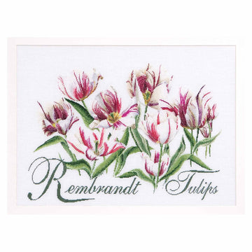 Counted Cross Stitch Kit Rembrandt Tulips - Aida 16 Count