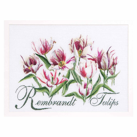 Counted Cross Stitch Kit Rembrandt Tulips 