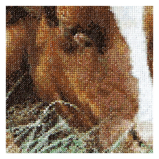 Red Cow - Aida - 16 - 449A-Thea Gouverneur Since 1959