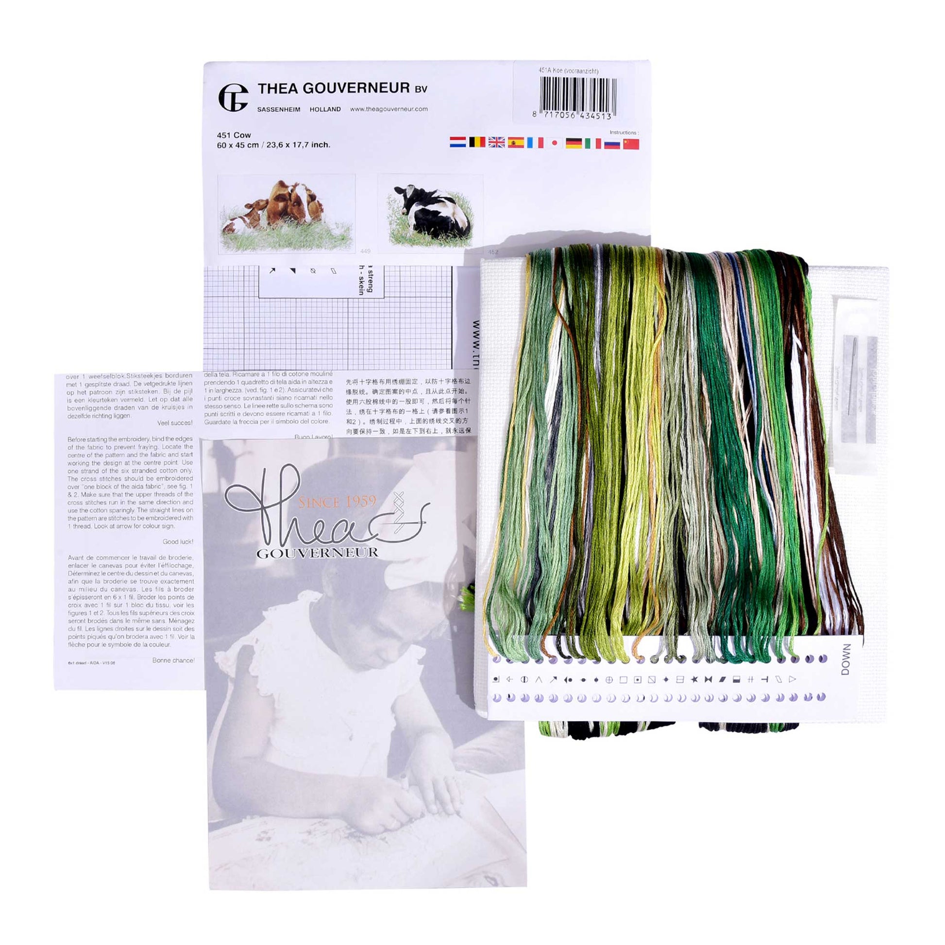 Packaging of Thea Gouverneur embroidery kit with pattern sheet, needlework fabric, and DMC floss threads on a white background