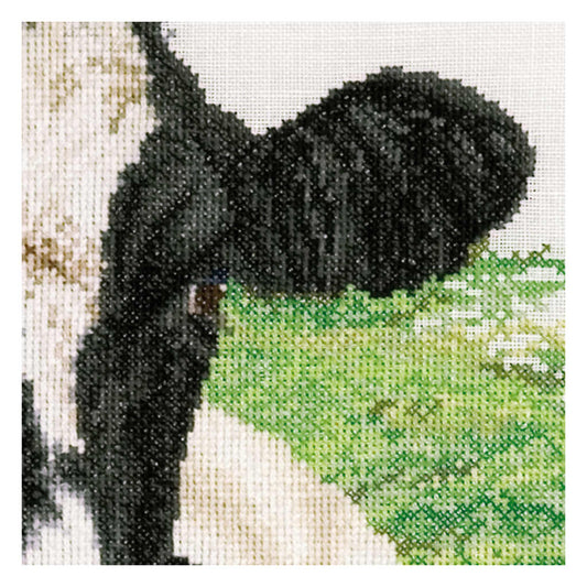 Cross-stitched black cow on meadow close up