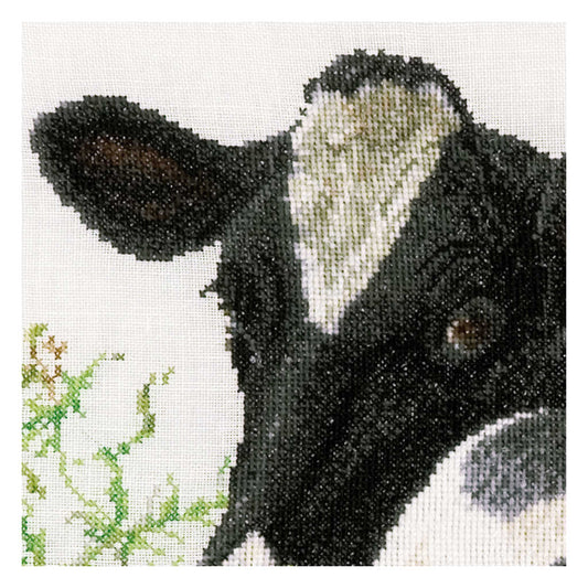 Close-up cross stitch of a cow's face with a white background