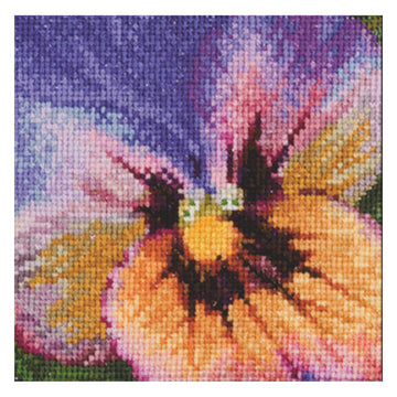 Pansy - Aida - 18 - 454A