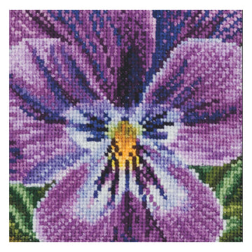 Pansy - Aida - 18 - 456A