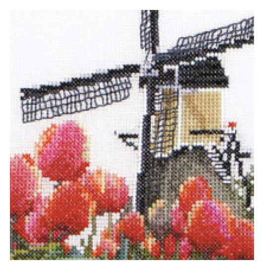 Bulbfield Tulips - Aida - 18 - 473A