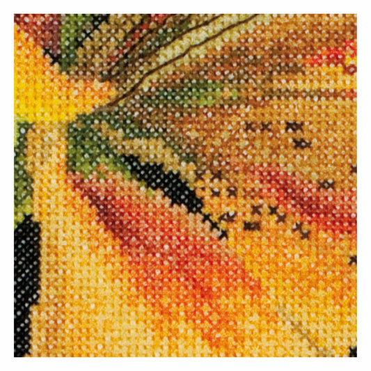 Lily - Aida - 18 - 486A