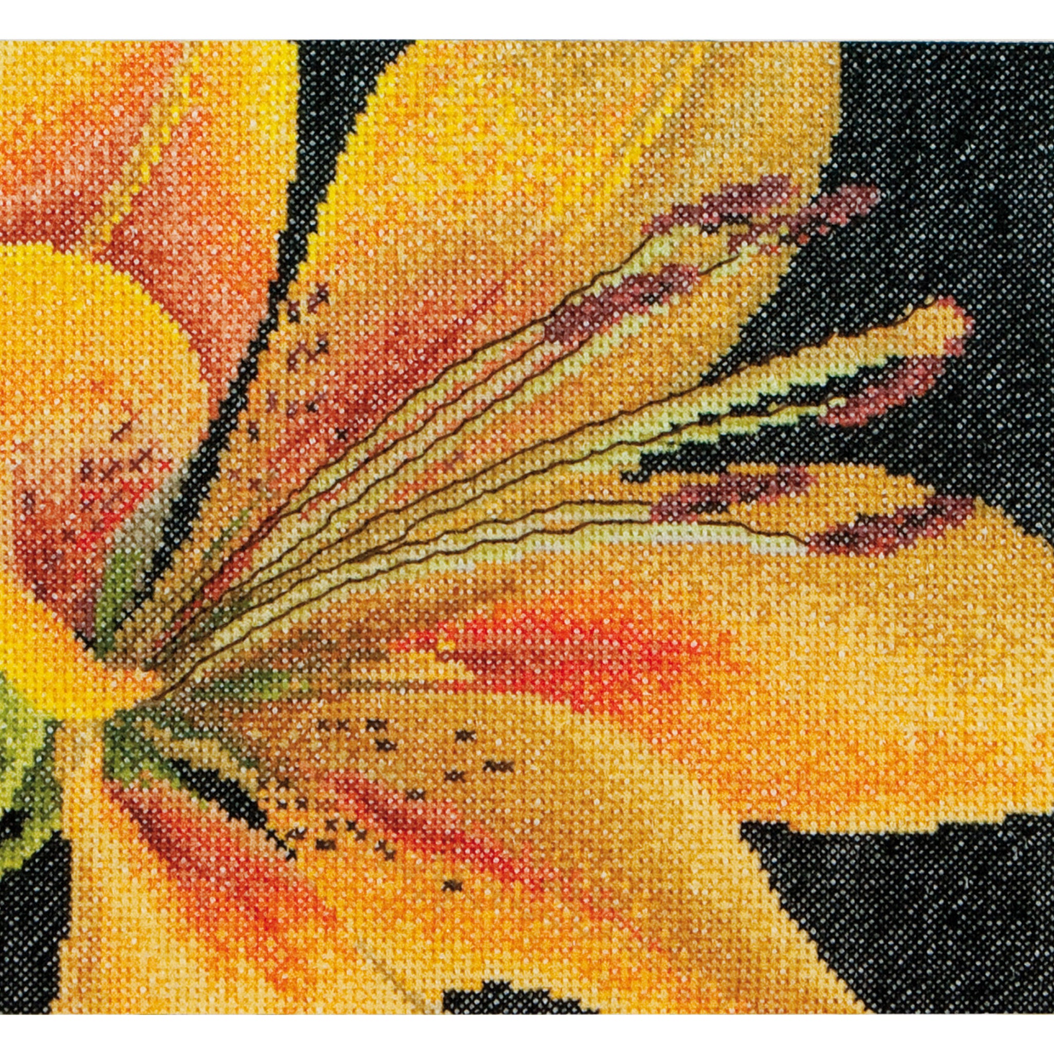 Lily - Aida - 18 - 486A