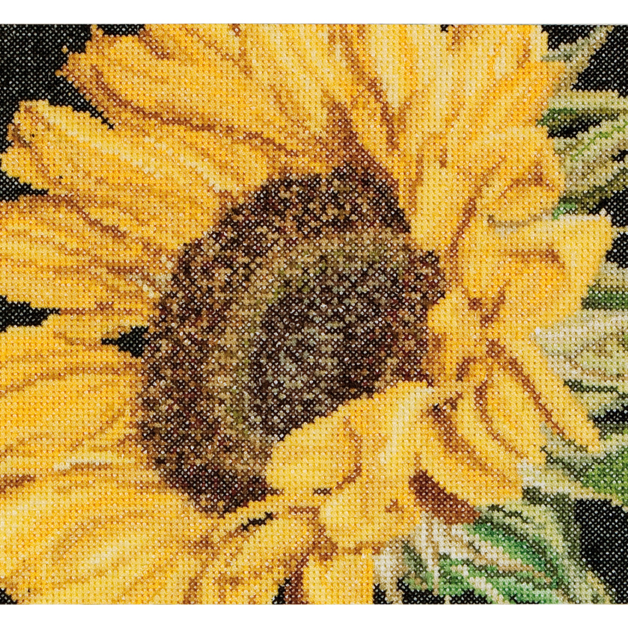 Sunflower - Aida - 18 - 488A
