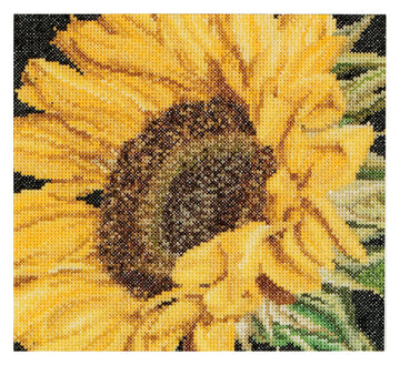Sunflower - Aida - 18 - 488A