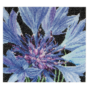 Cross-stitched pattern of a blue cornflower with black background