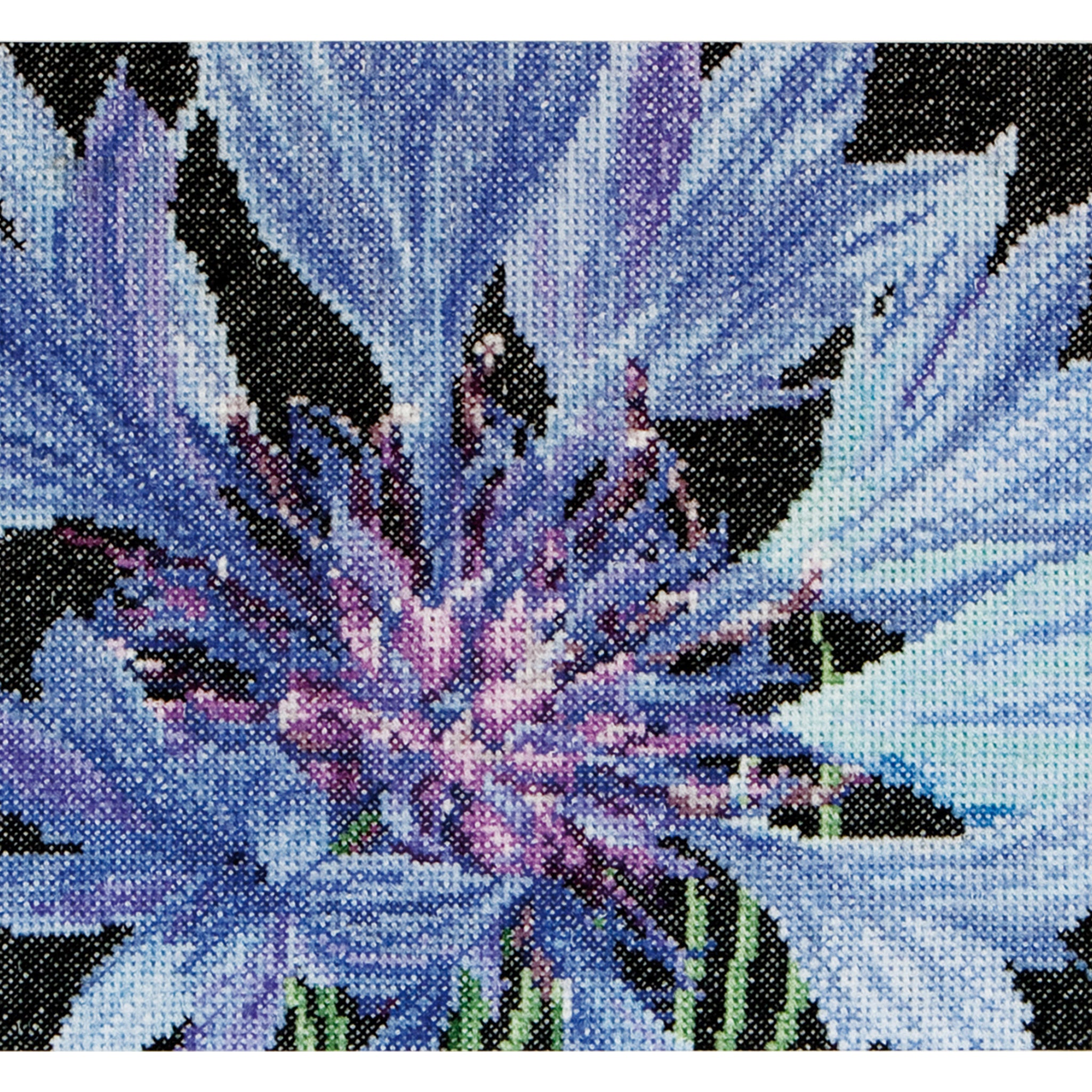 Cornflower - Aida - 18 - 489A