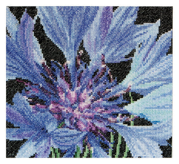 Cornflower - Aida - 18 - 489A