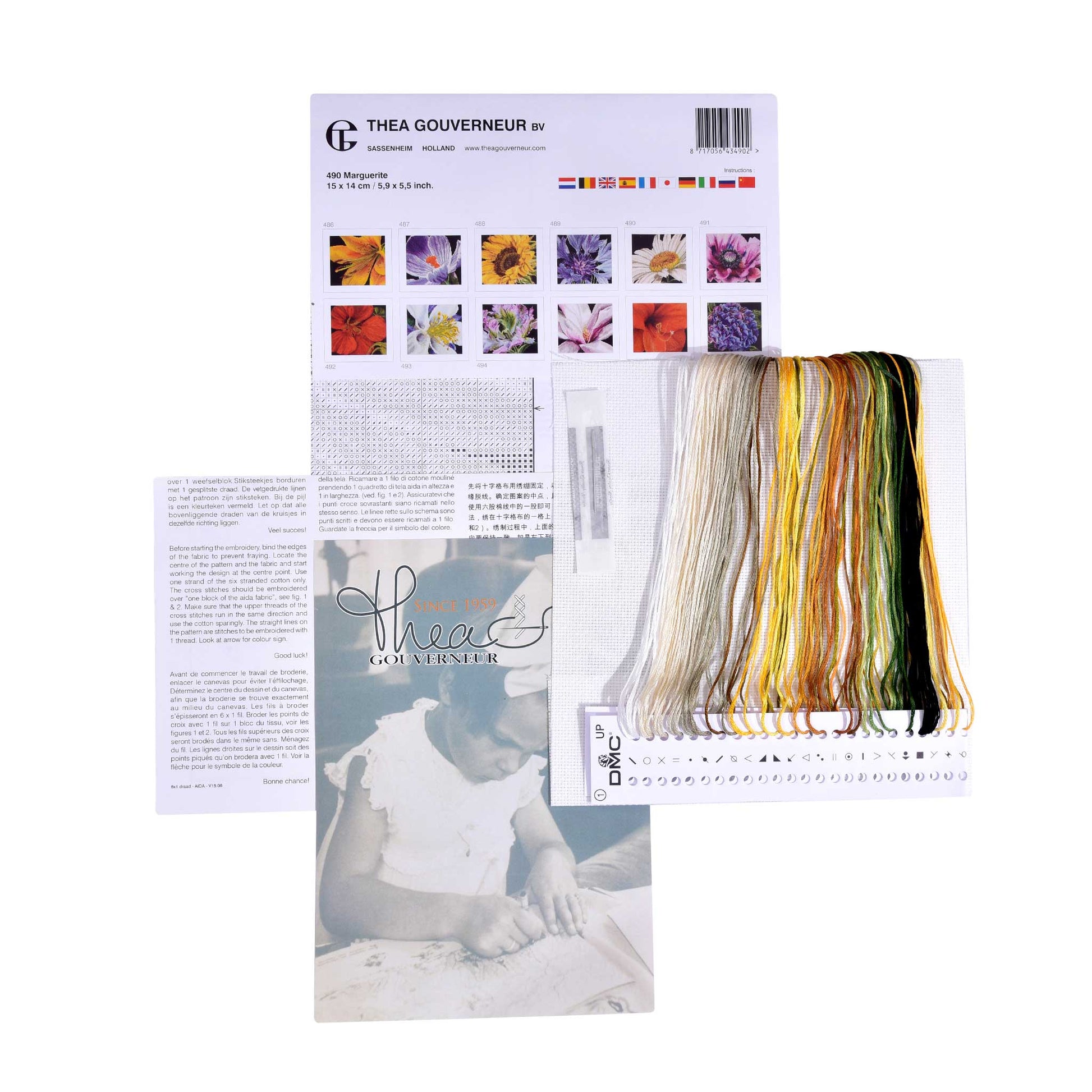 Embroidery kit content: Aida needlework fabrics, printed chart, colorful dmc embroidery threads presorted on the floss organizer