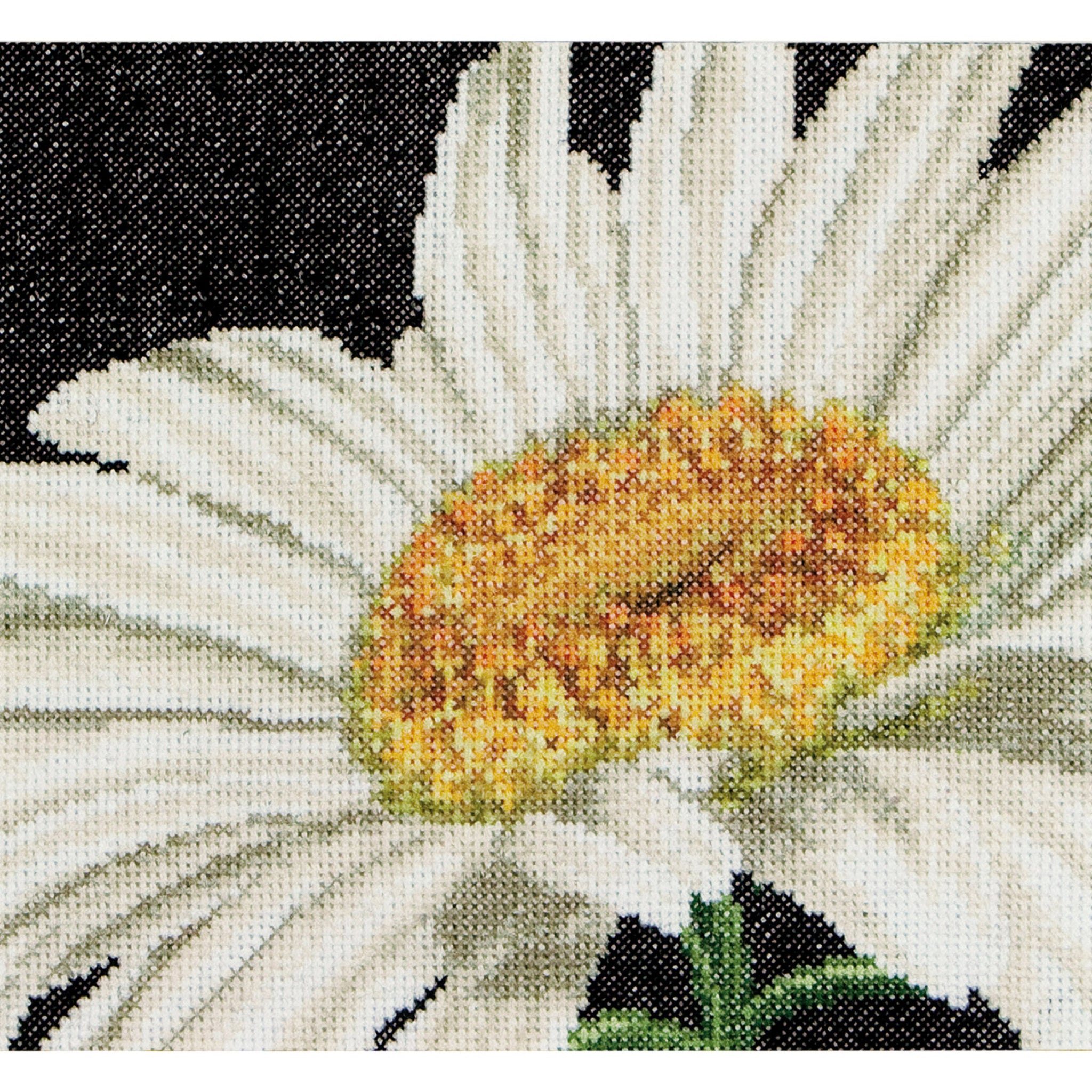 Marguerite - Aida - 18 - 490A
