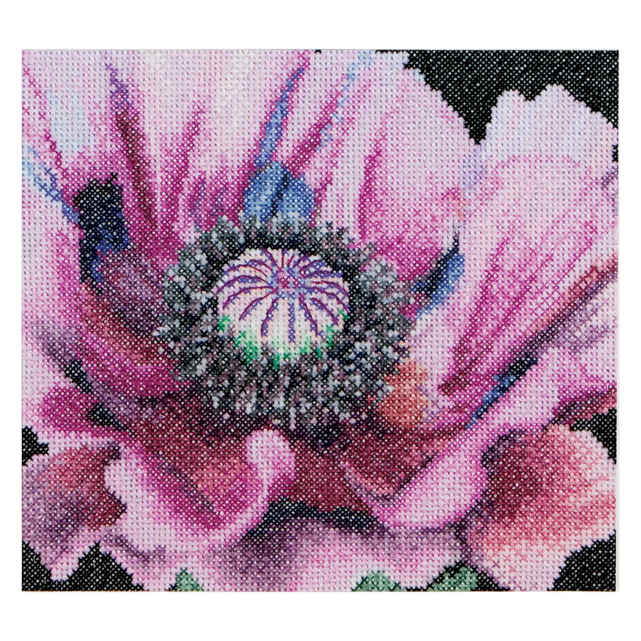 Thea Gouverneur Cross Stitch Kits Flowers Close-Ups Collection