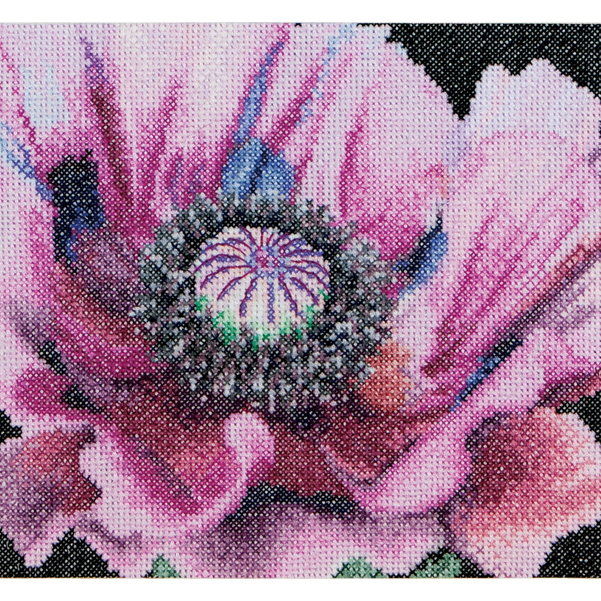 Poppy - Aida - 18 - 491A