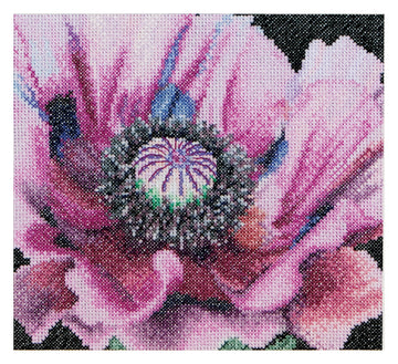 Poppy - Aida - 18 - 491A