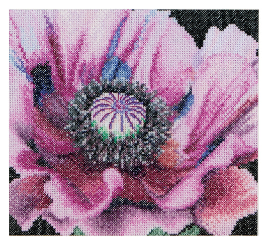 Poppy - Aida - 18 - 491A