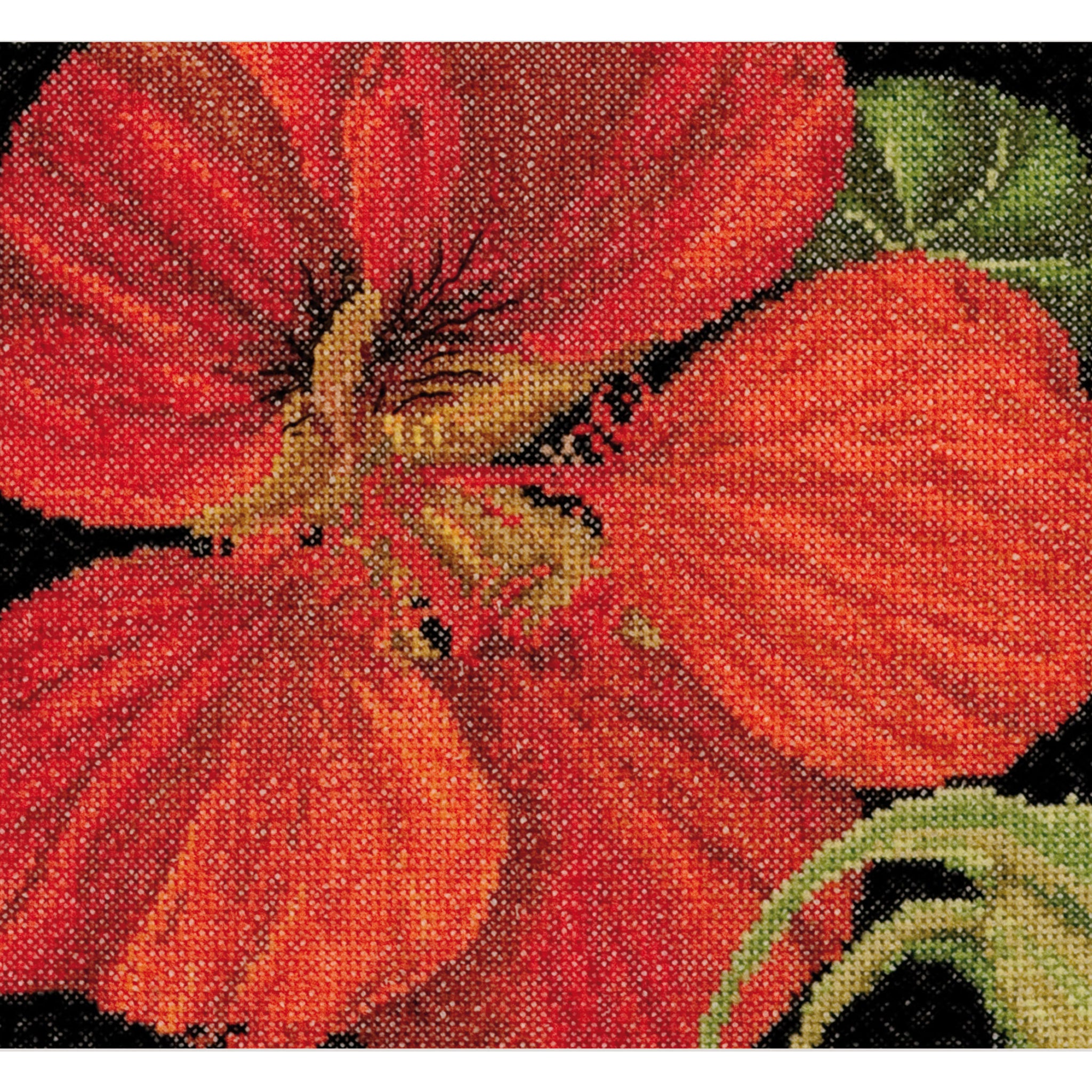 East Indian Cherry - Aida - 18 - 492A