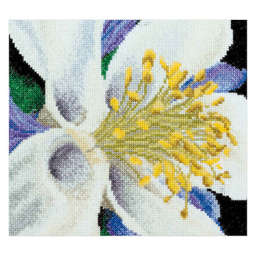 Columbine - Aida - 18 - 493A