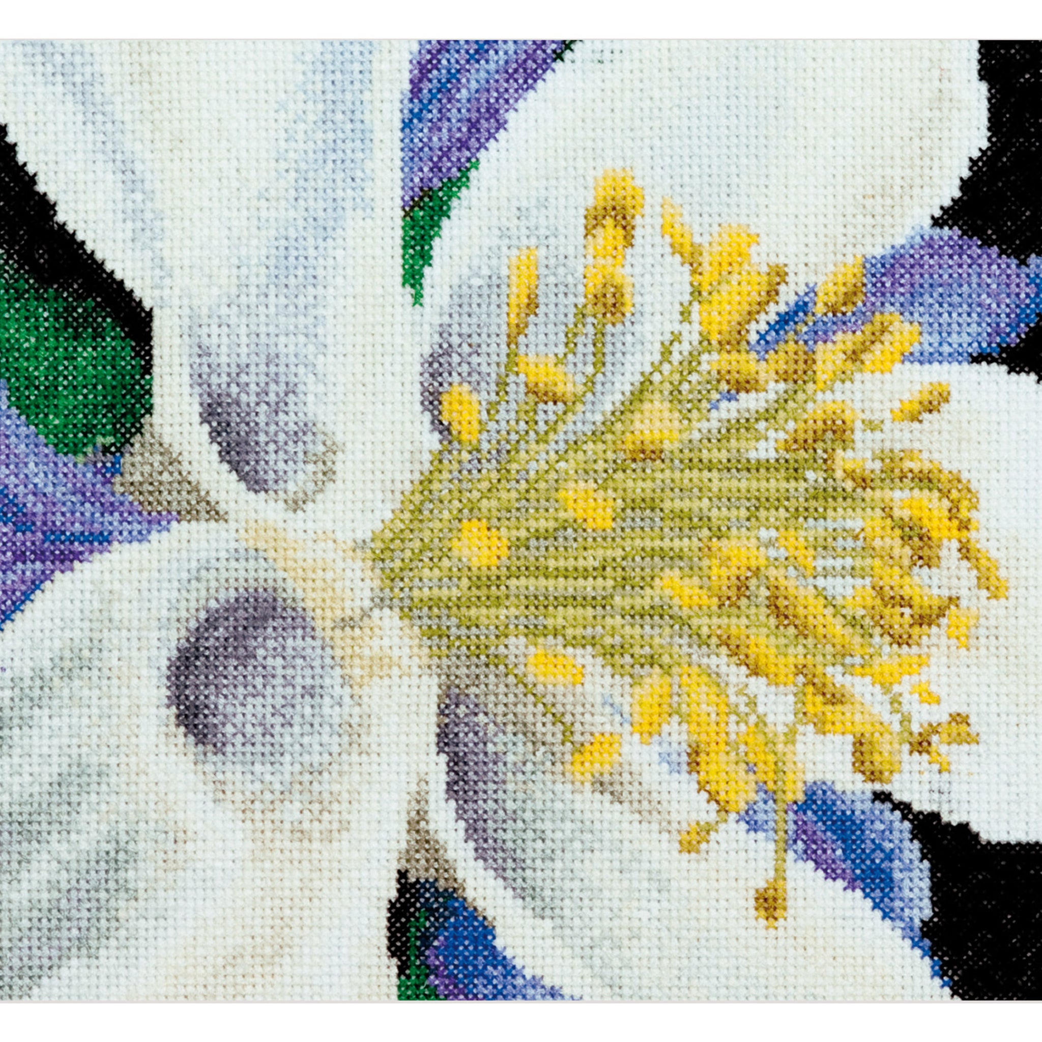 Columbine - Aida - 18 - 493A